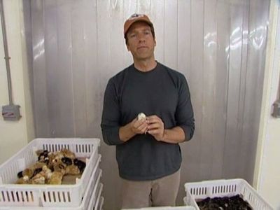 Mike Rowe in Dirty Jobs (2005)