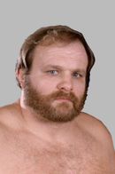 Ole Anderson