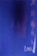 Kevin Casciani Nolan