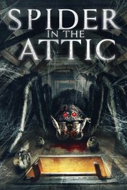 Spider in the Attic