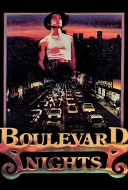 Boulevard Nights