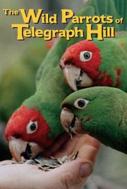 The Wild Parrots of Telegraph Hill