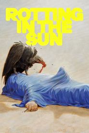 Rotting in the Sun