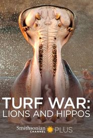 Turf War: Lions and Hippos