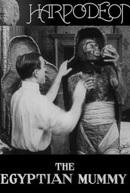 The Egyptian Mummy