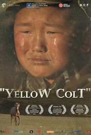 Yellow Colt