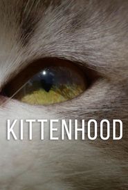 Kittenhood