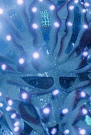 The Fortune You Seek Is in Another Cookie