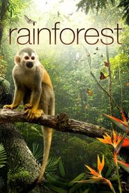 The Secret Life of the Rainforest