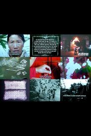 The Lightning Testimonies