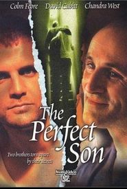 A Perfect Son