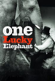 One Lucky Elephant