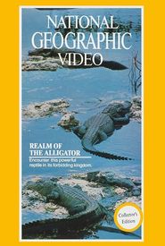 Realm of the Alligator