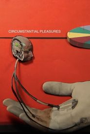 Circumstantial Pleasures