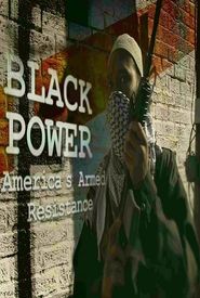Black Power: America's Armed Resistance