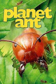 Planet Ant: Life Inside the Colony