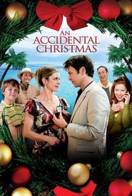 An Accidental Christmas