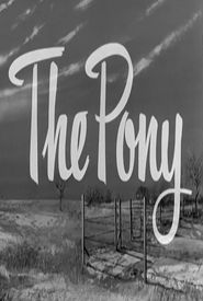 The Pony
