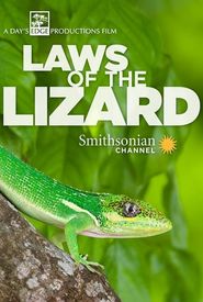 Laws of the Lizard