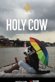Holy Cow