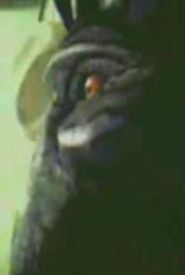 Nothing Is More Beautiful Than Nothing