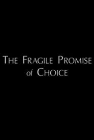 The Fragile Promise of Choice: Abortion in the United States Today