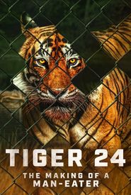Tiger 24
