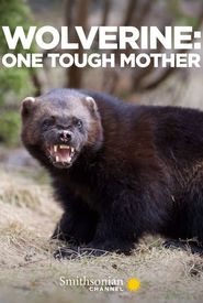 Wolverine: One Tough Mother