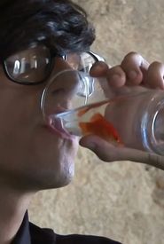 The State That I Am Fish