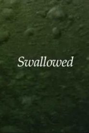 Swallowed