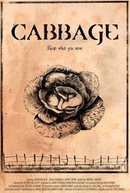 Cabbage