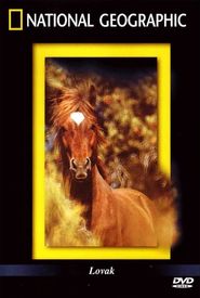 The Noble Horse