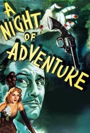 A Night of Adventure