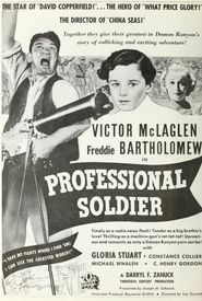 Professional Soldier