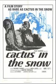 Cactus in the Snow