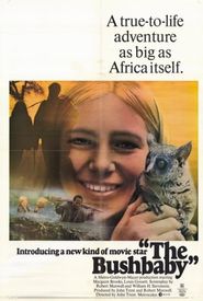 The Bushbaby
