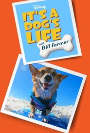 It's A Dog's Life