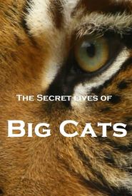 The Secret Lives of Big Cats