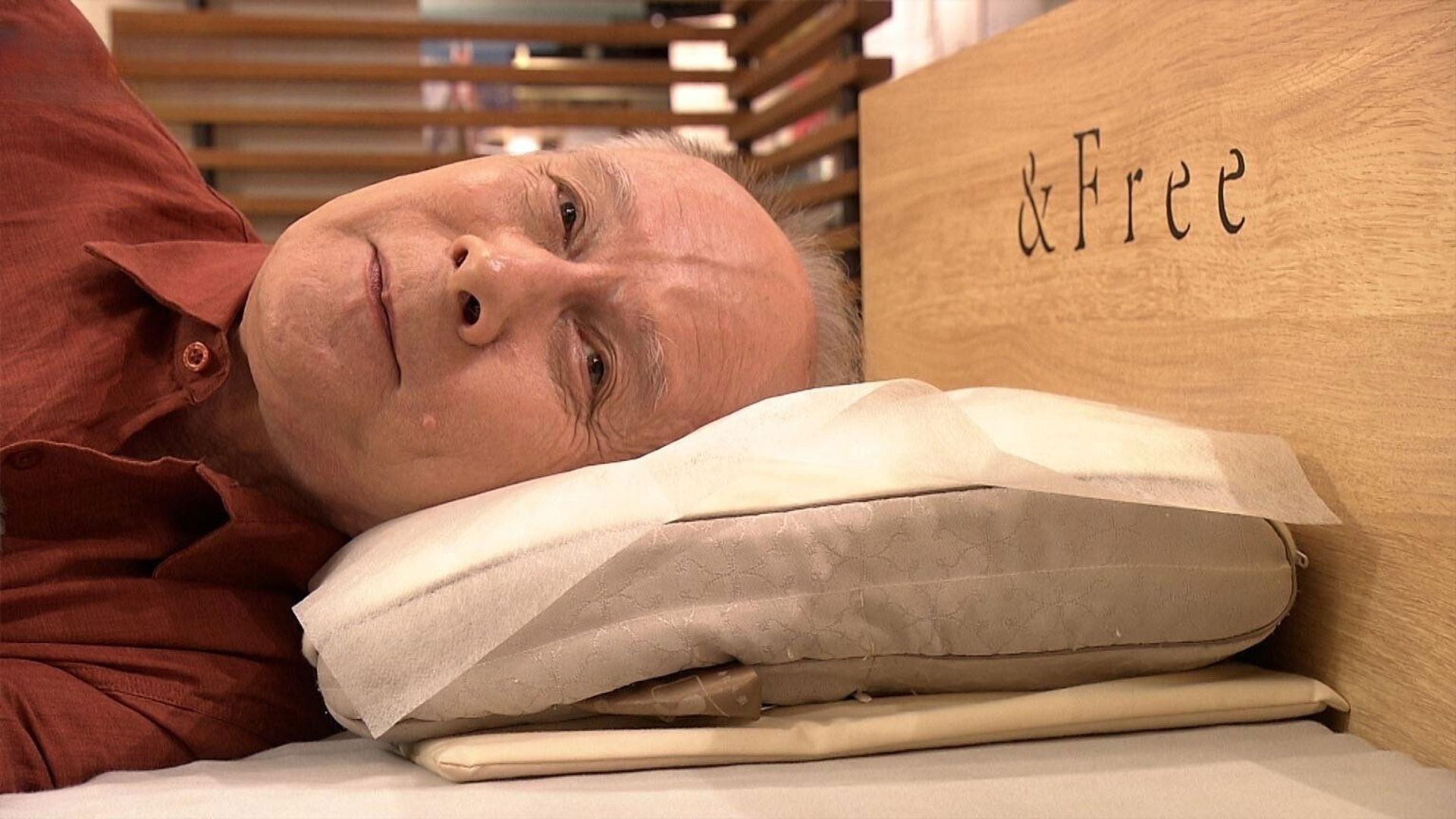 Japanology Plus background