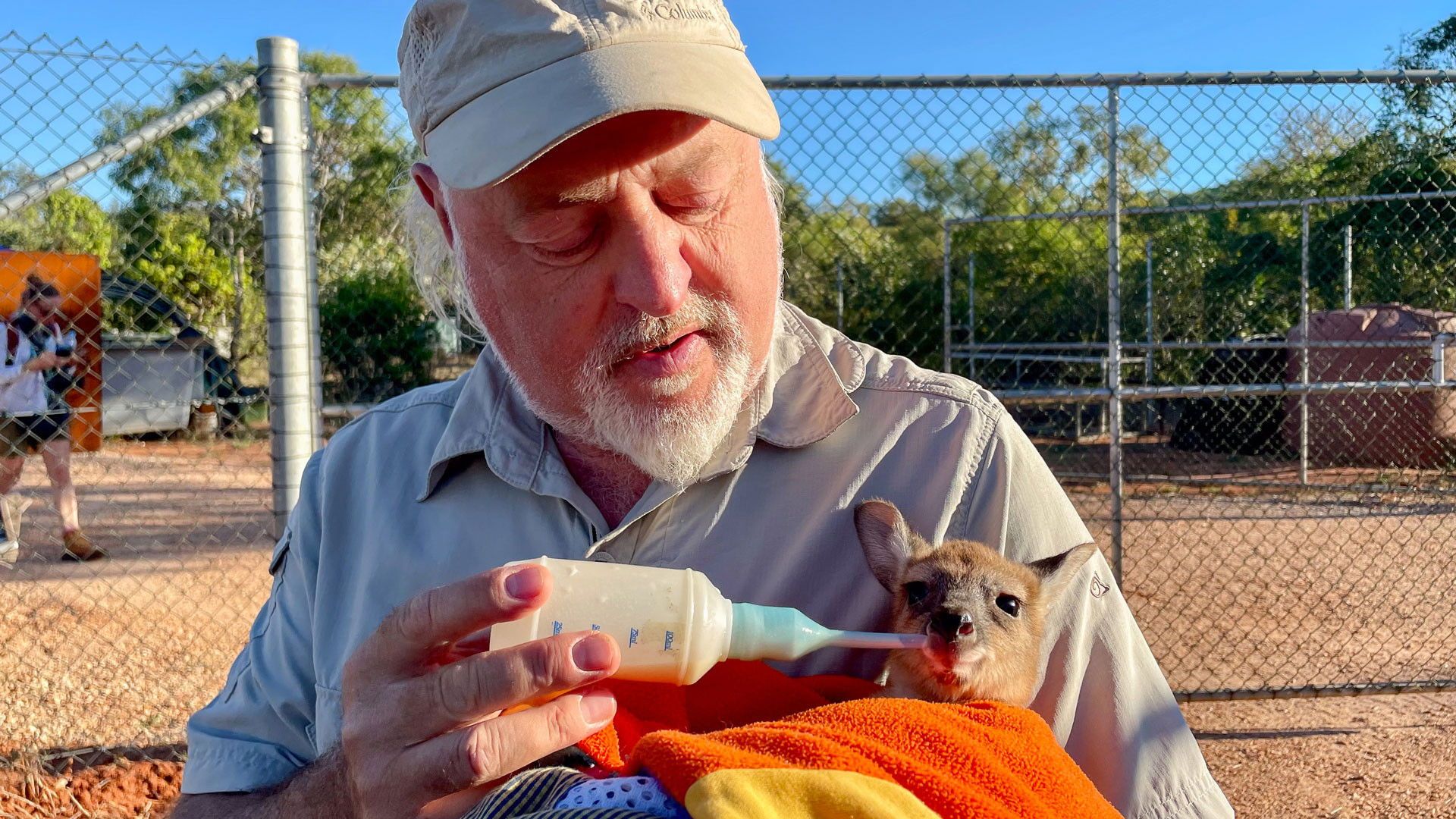 Bill Bailey's Australian Adventure background