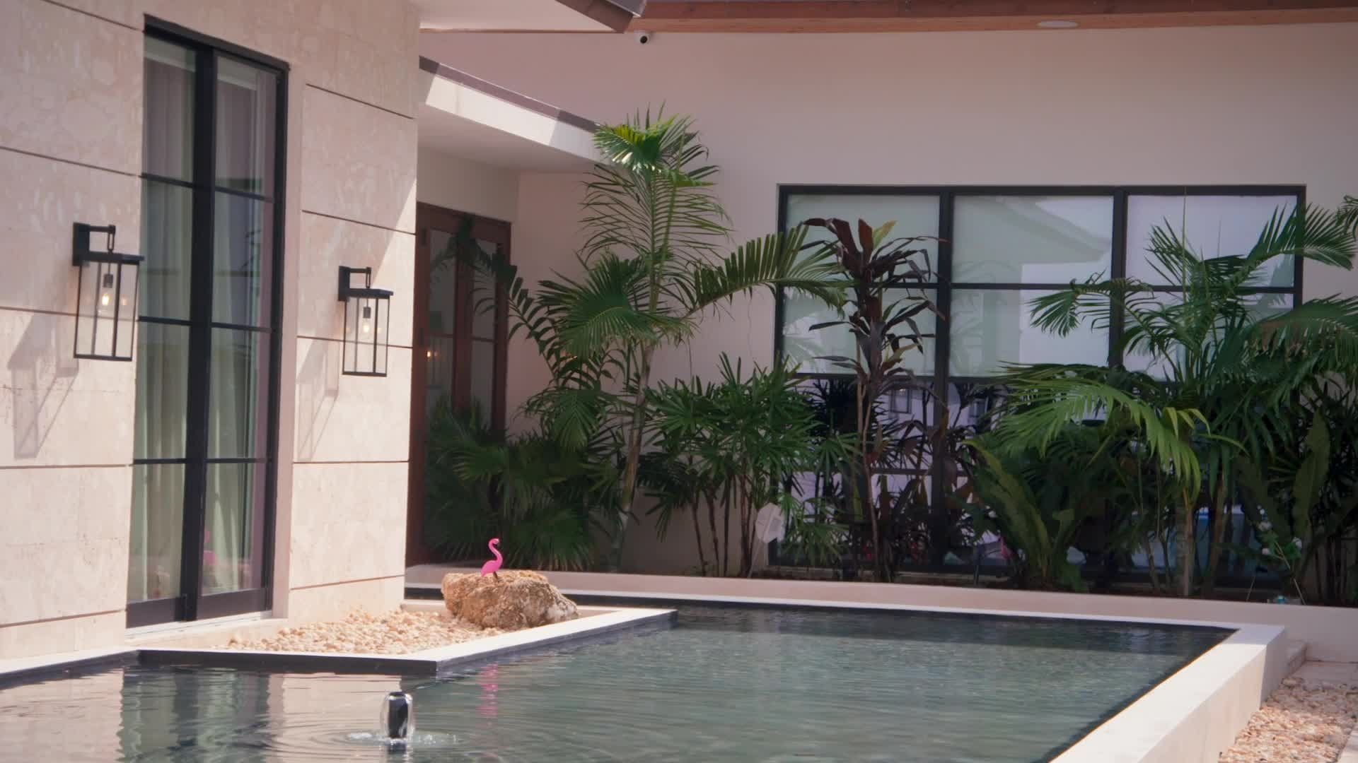 Everybody Loves Natti background