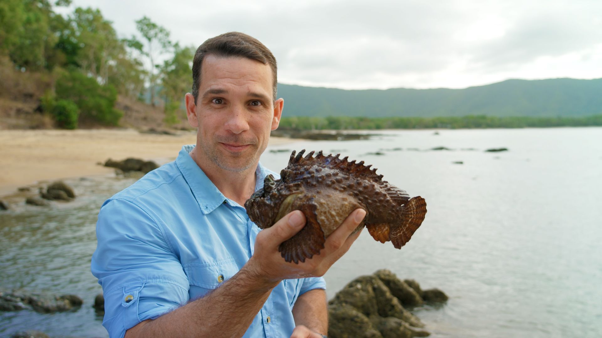 Built to Survive background