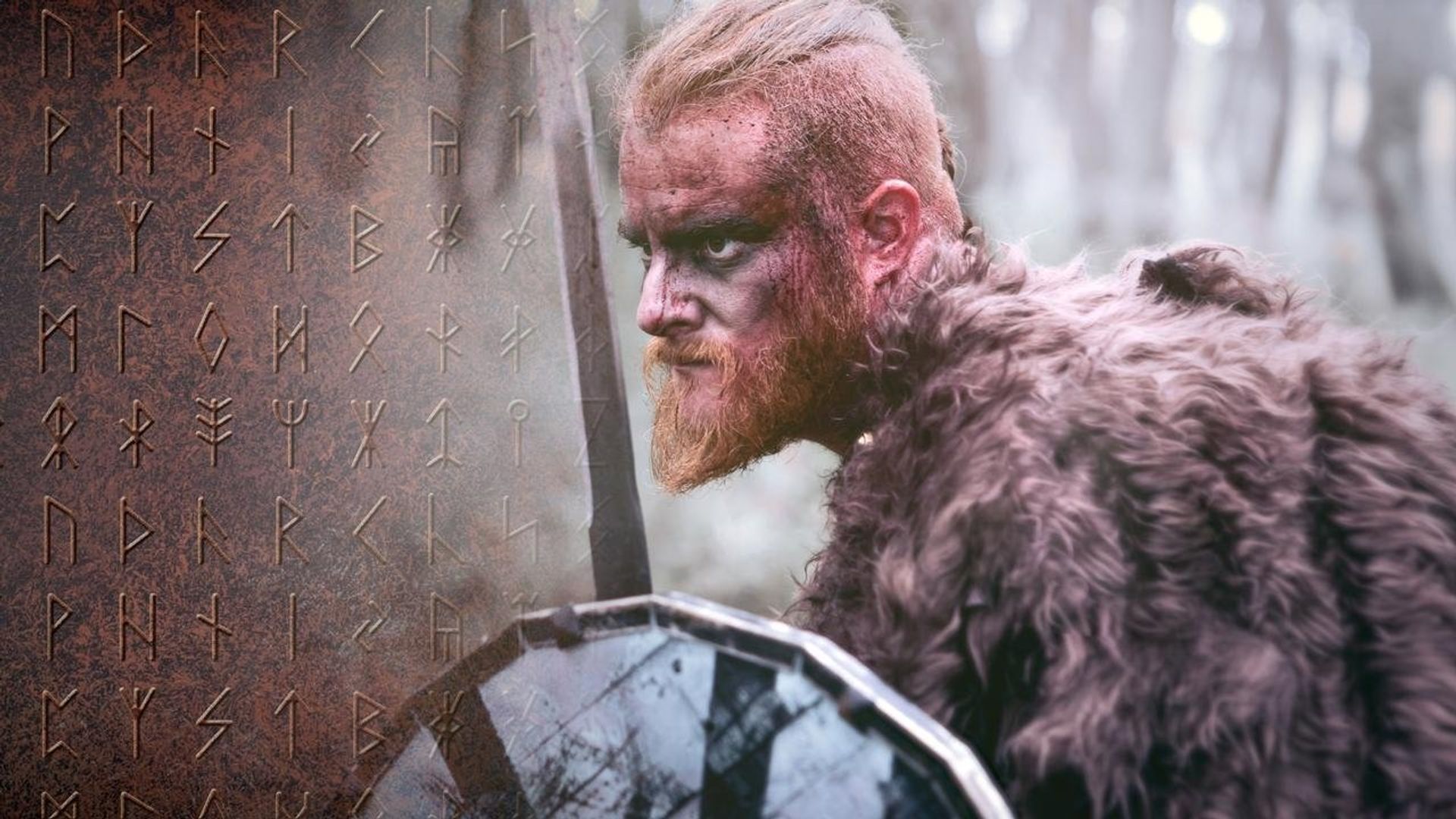 Vikings: The Rise and Fall background