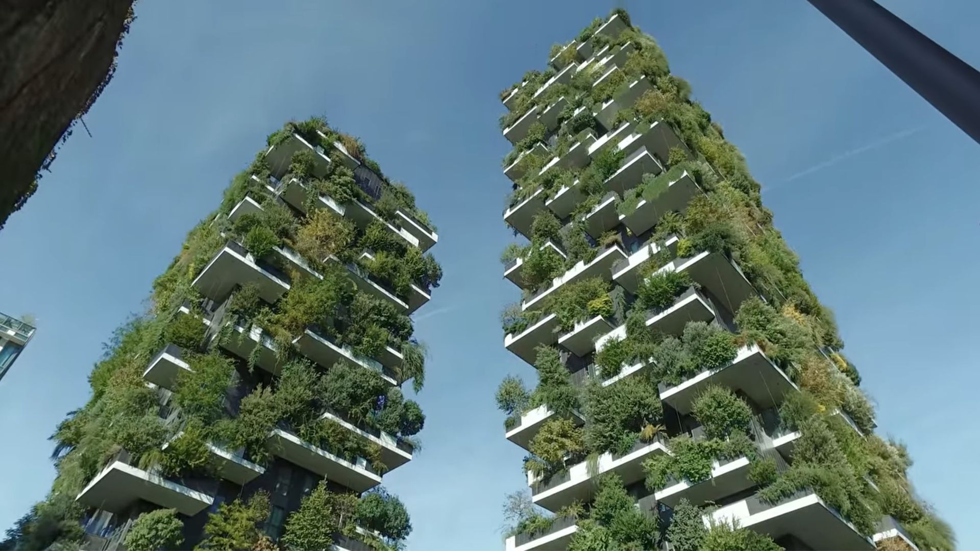 The Future Of background