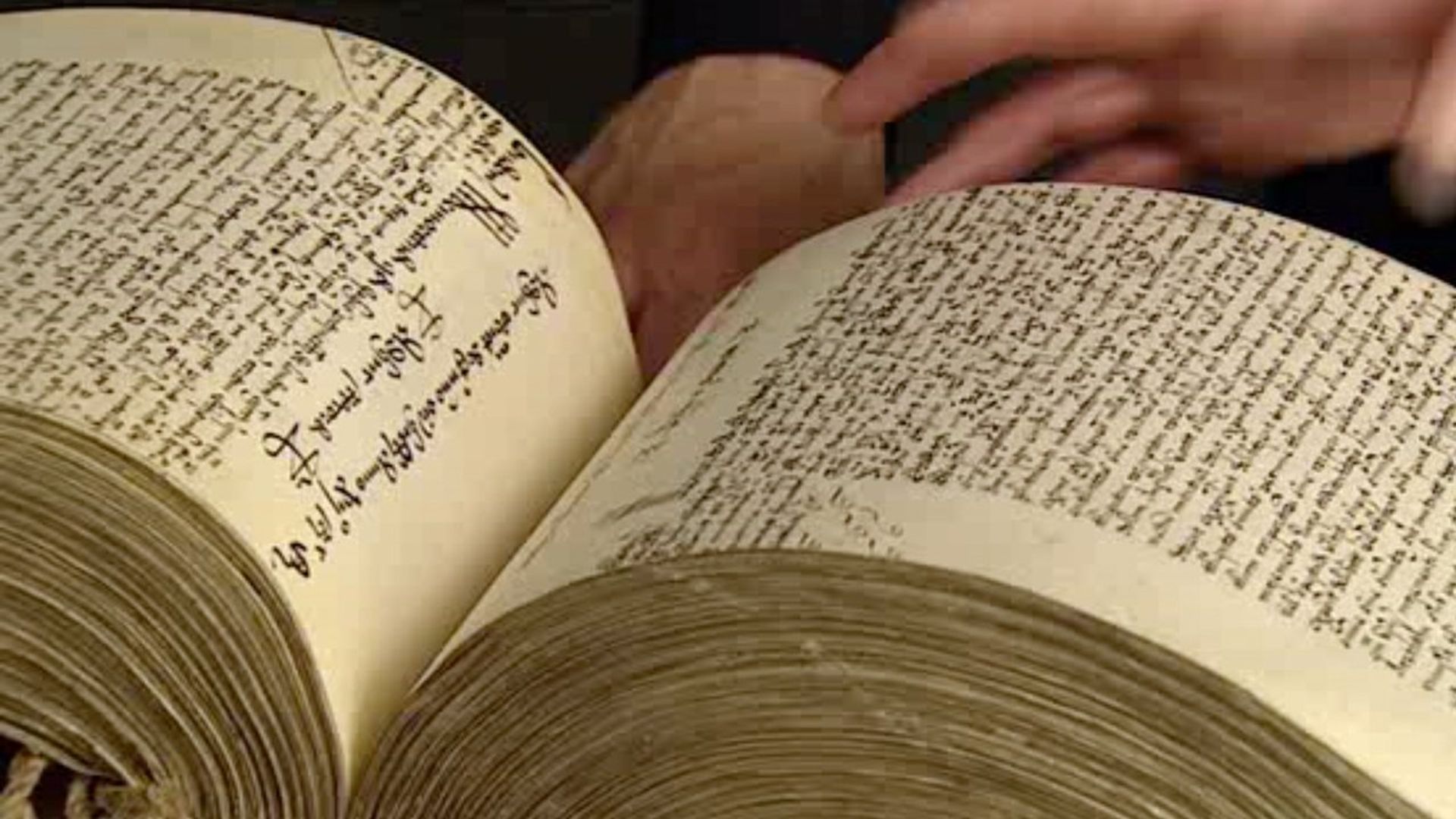In Search of Shakespeare background