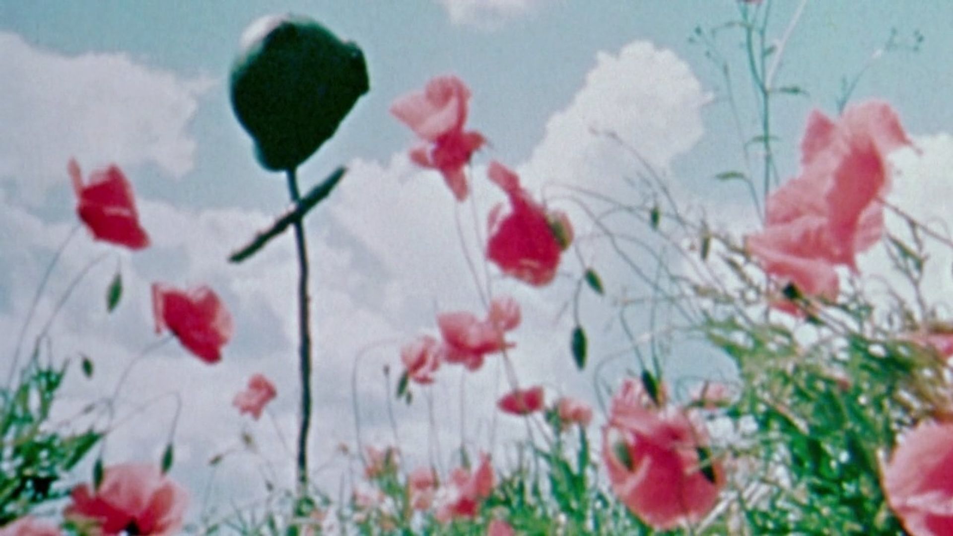 The World at War background