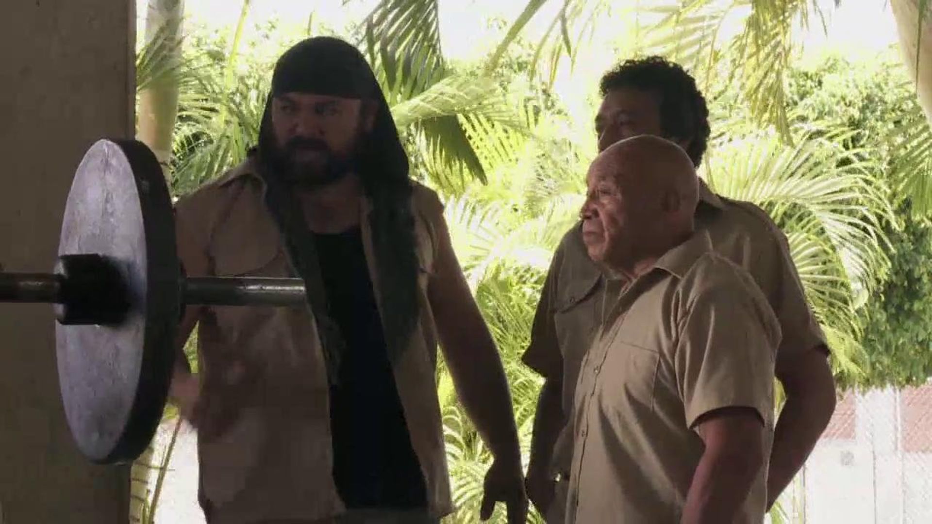 El Señor de los Cielos background