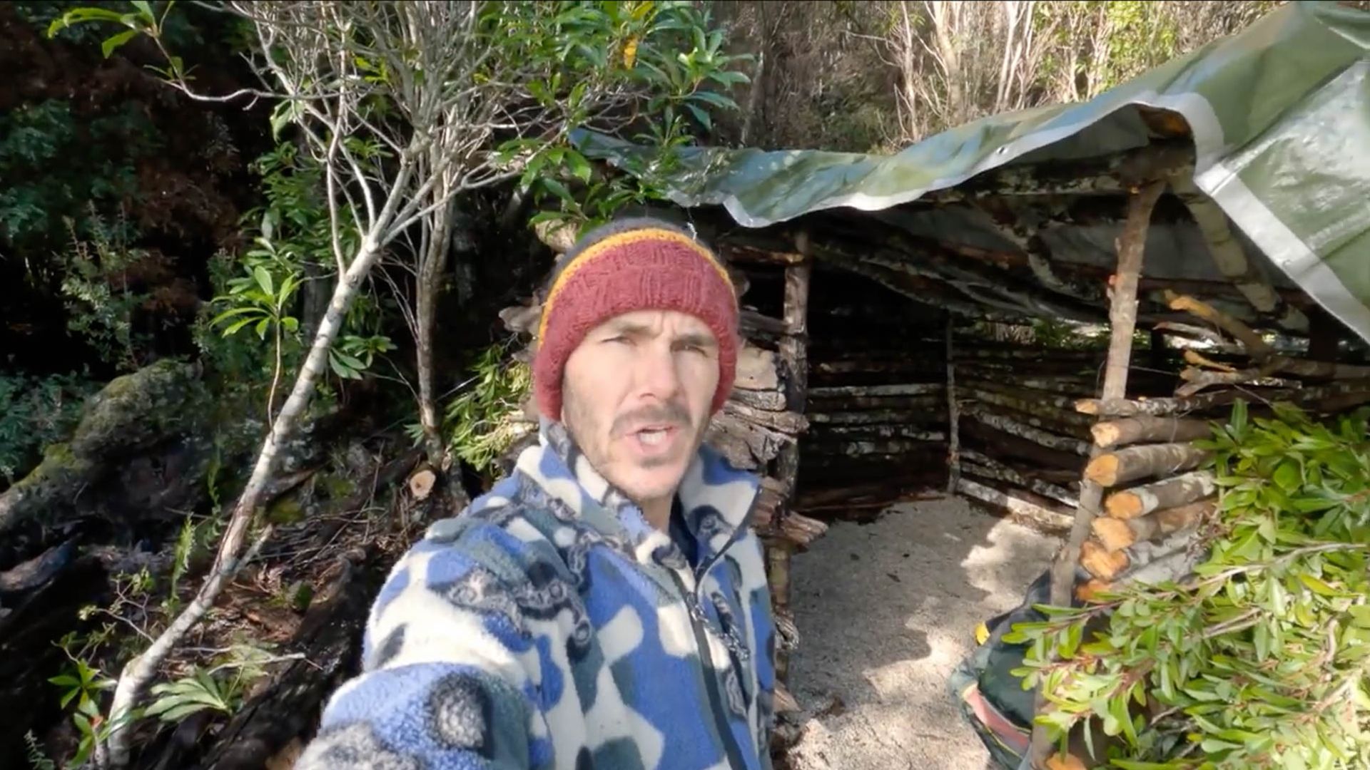 Alone Australia background