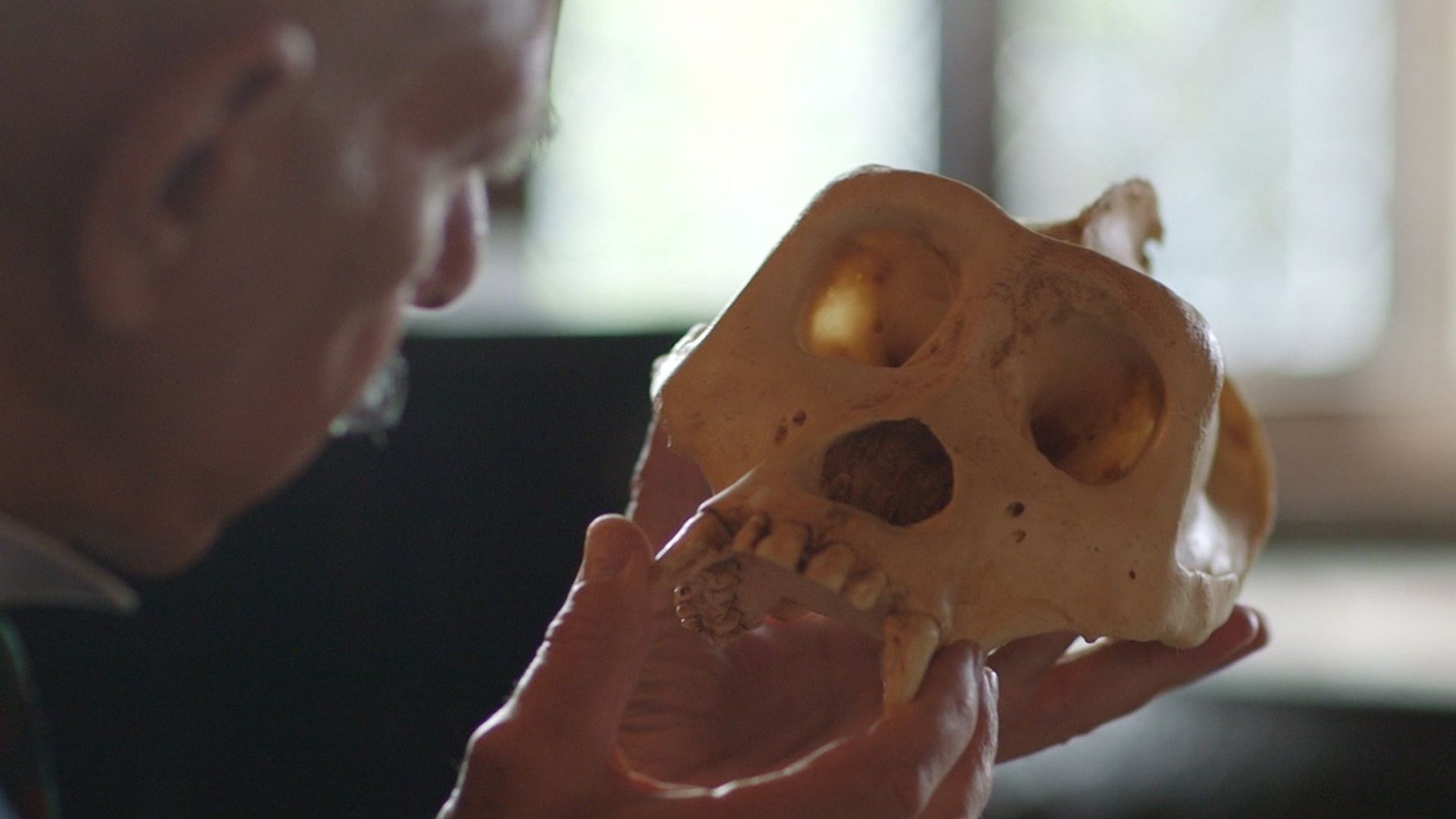 History's Greatest Hoaxes background