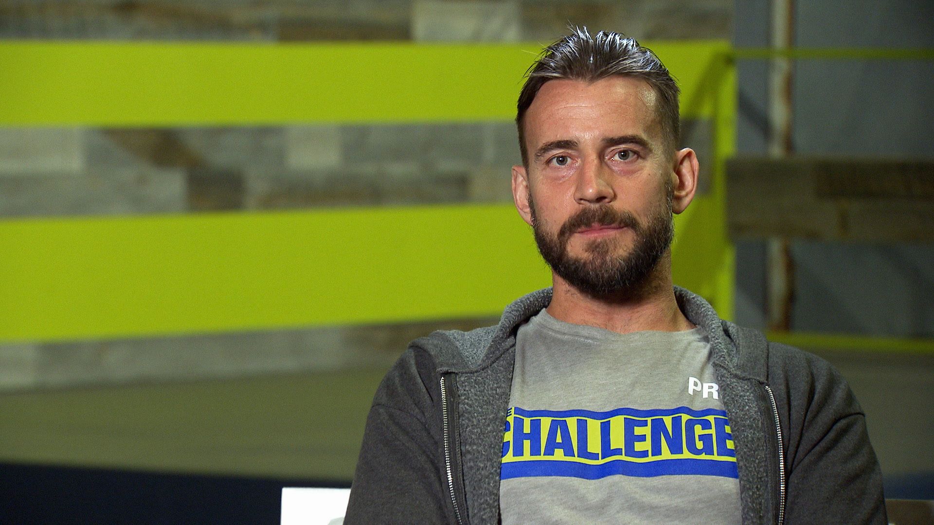 The Challenge: Champs vs. Stars background